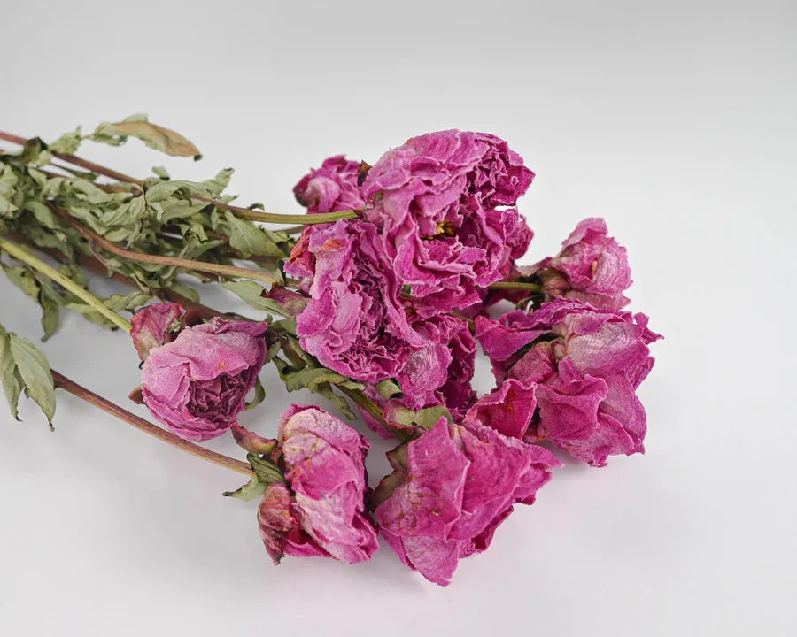 36-inch Red Bamboo Floor Vase with Curly Willow Branches  and Pink Peony Dried Floral