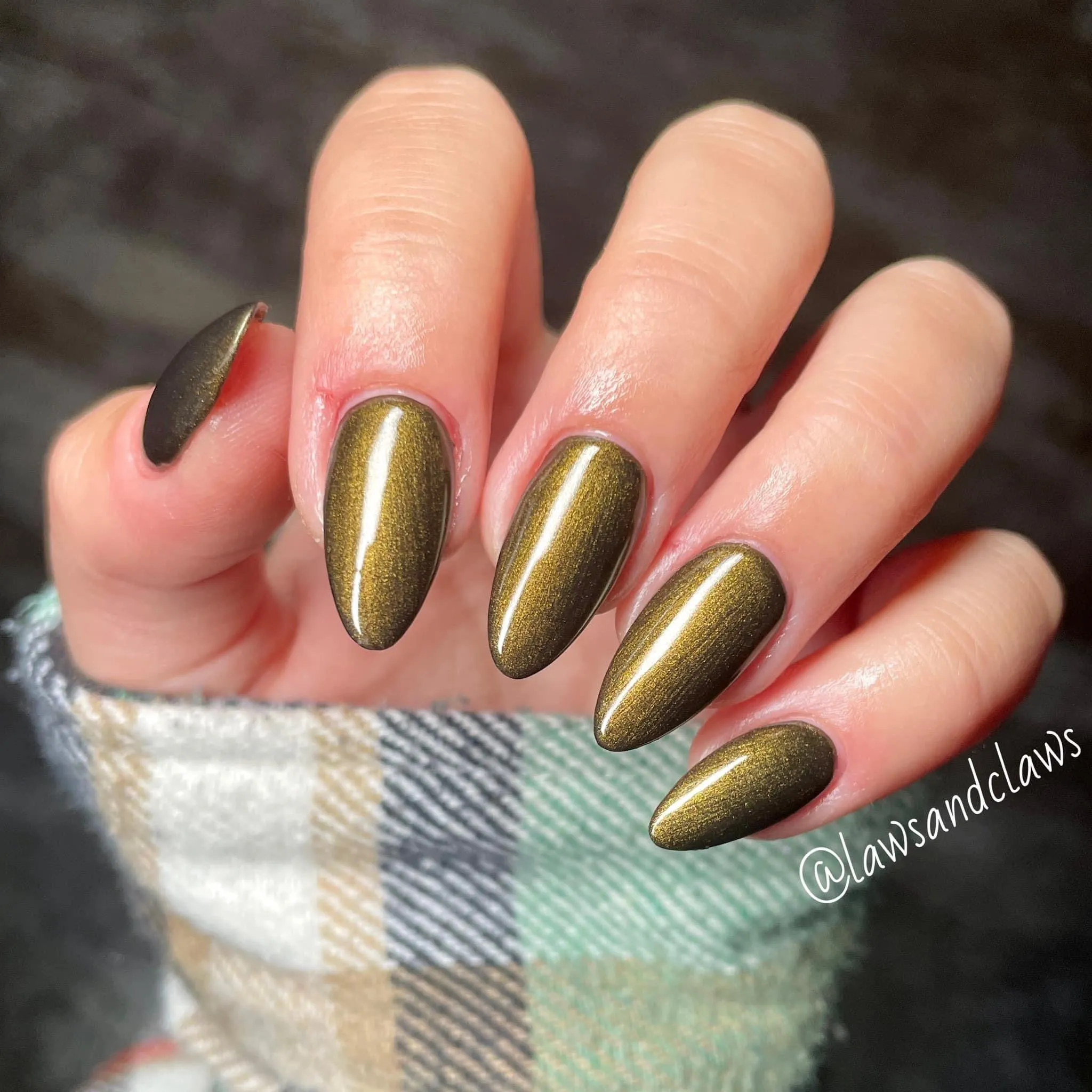Gomez- Seashell gel polish (is our cat lady) miss labeled bottle